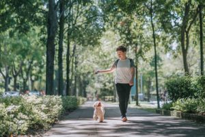 Flexible Schedule Dog Walking Jobs
