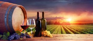 How to Start a Winery Business: Tips and Tricks from the Pros